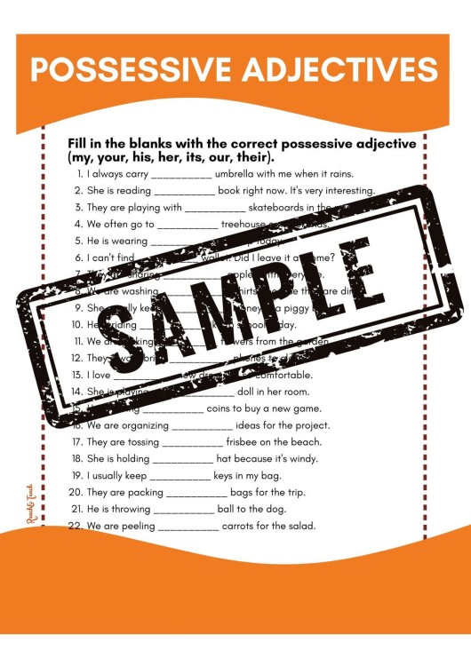 possessive adj – sample3